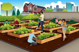 Urban Farming Indonesia 2025: Gaya Hidup Hijau Baru di Tengah Kota