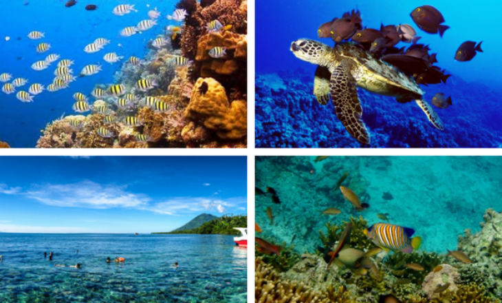 Wisata Bahari Indonesia 2025: Potensi Laut untuk Pariwisata Berkelanjutan